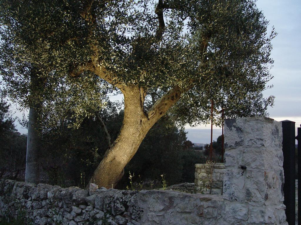 Trullo Sereno Angelo Locorotondo Ngoại thất bức ảnh